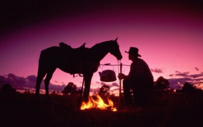 Grandpop, the Reporter and Firewood