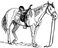 Sketch of Saddled Horse
