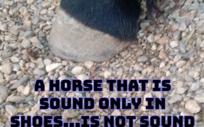 A Horse That Is Sound Only In Shoes – Is Not Sound.