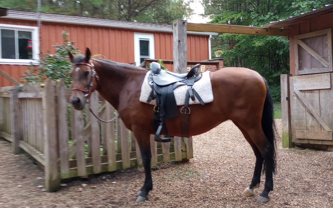 Saddle Pitch and Inverted Hips