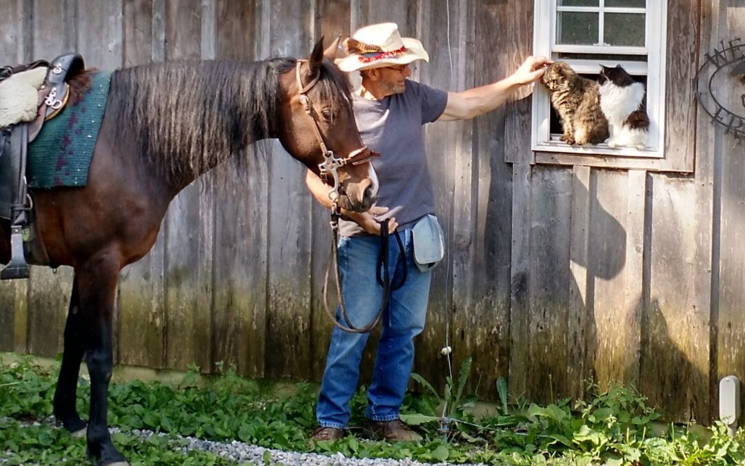 Man with saddled horse petting cats in barn window