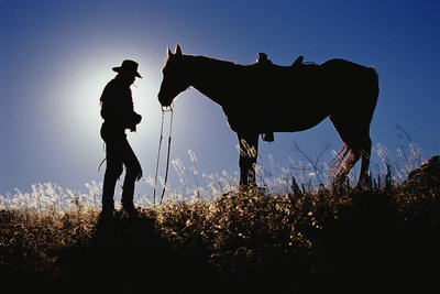 Man Standing With Horse In Shadow