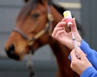 Regarding Over-Vaccinations of Our Horses