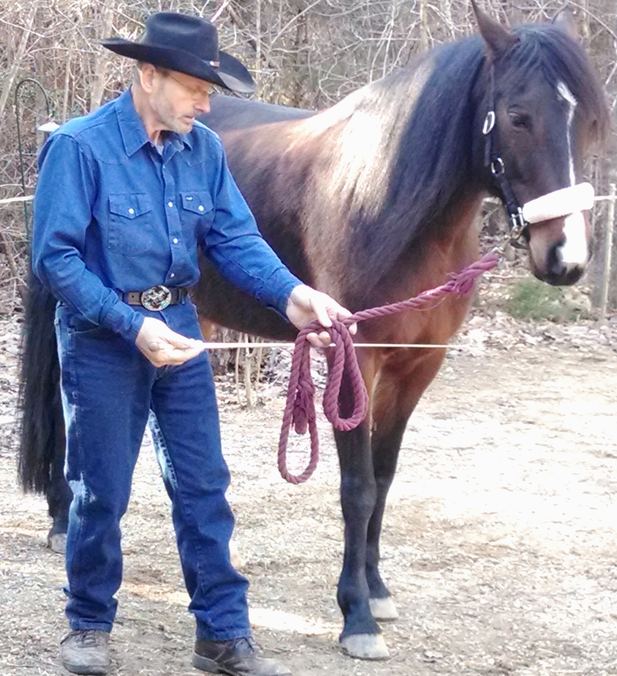 A Few Polite Touches For A Pushy Horse Dutch Henry, Author