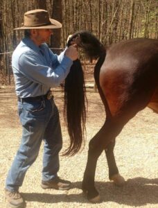 How to do the “Tail Curl”