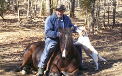 EARNING YOUR HORSE’S TRUST