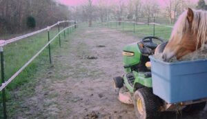 Track System for Horses. Paddock Paradise