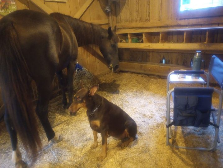 HOW MUCH EXTRA HAY IN WINTER