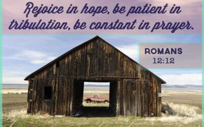 PATIENCE – DEVOTIONAL