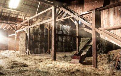 MAKING DECISIONS – DEVOTIONAL