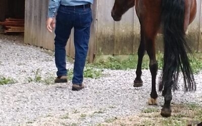 RIDE THROUGH THE ROUGH PATCHES