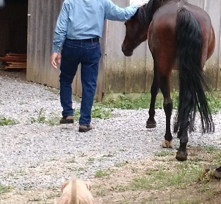 RIDE THROUGH THE ROUGH PATCHES