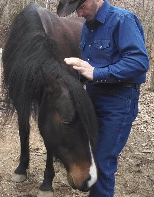 can your horse read your mind