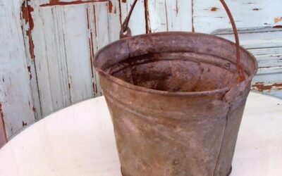 RUSTY BUCKET – Chapter One
