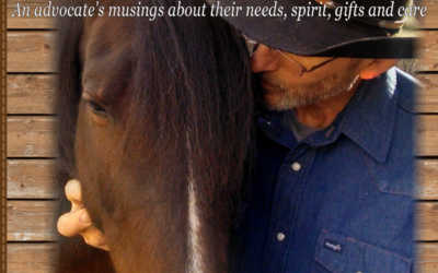 EQUINE WEIGHT BEARING POSTURE OUR RESPONSIBILITY