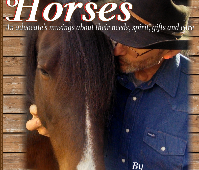 EQUINE WEIGHT BEARING POSTURE OUR RESPONSIBILITY