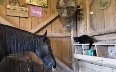 WHAT’S IN YOUR HAY?