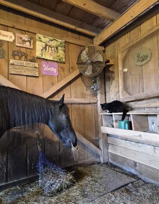 WHAT’S IN YOUR HAY?